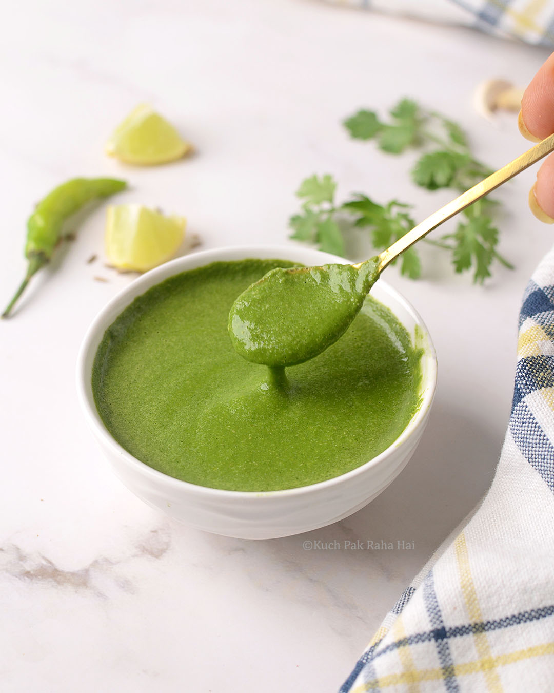 Cilantro Chutney Recipe