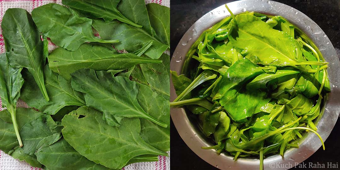 Cleaning & washing the spinach.