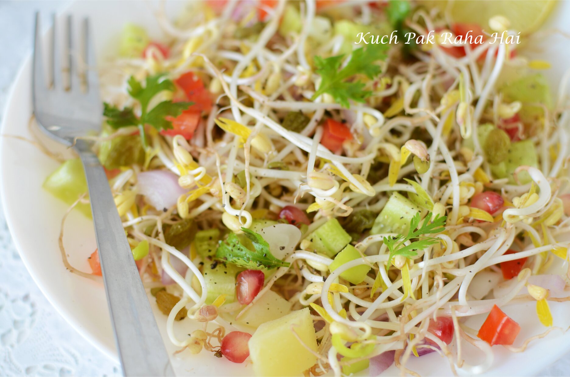 Mung Bean Sprouts, How to Sprout Mung Beans