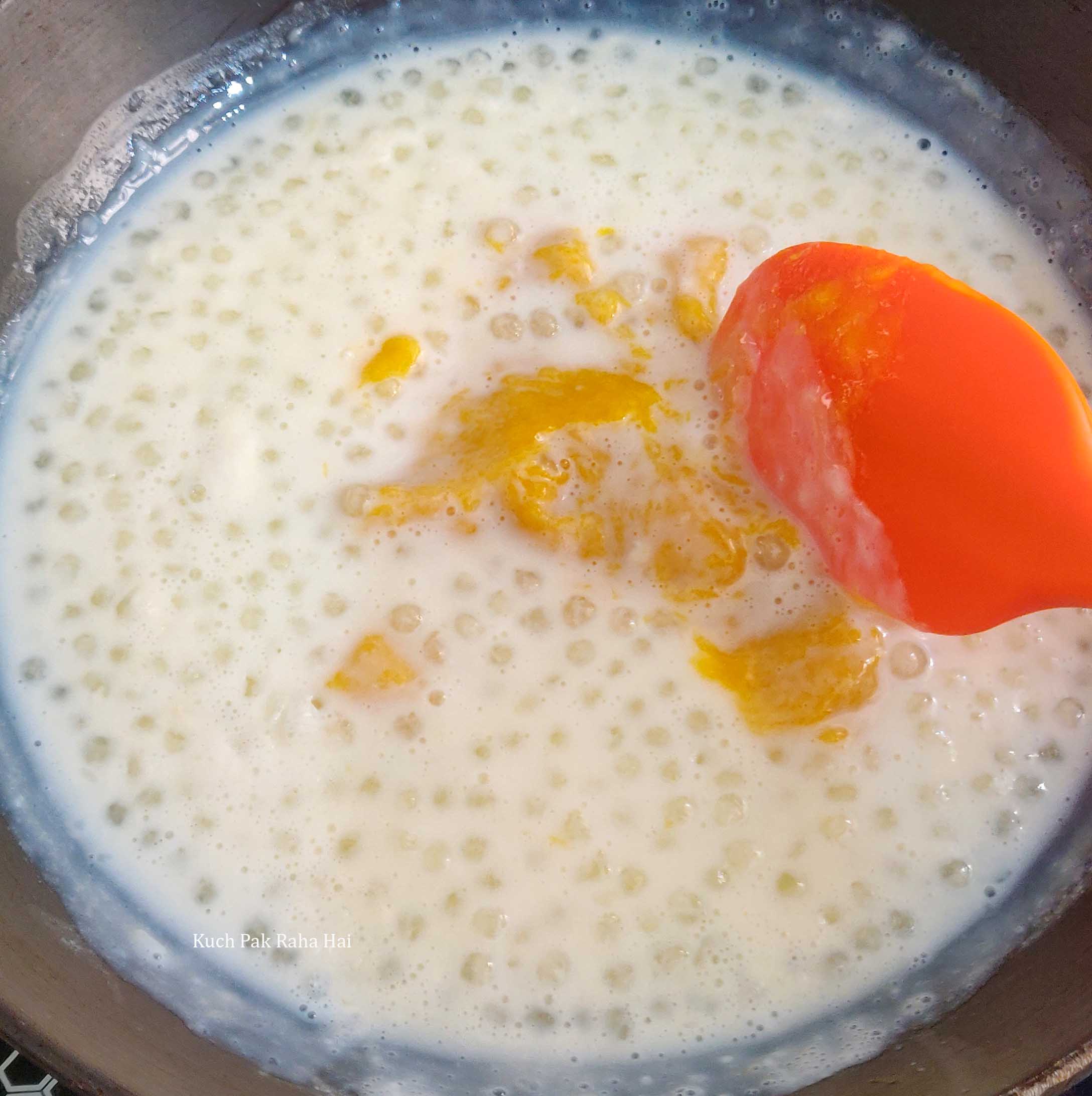 Mango-Sago-Sabudana-Pudding-Kheer-Step6