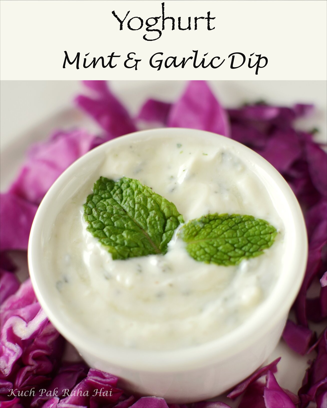 Yoghurt Garlic Mint Dip Recipe Low Calorie dip made with yoghurt or curd