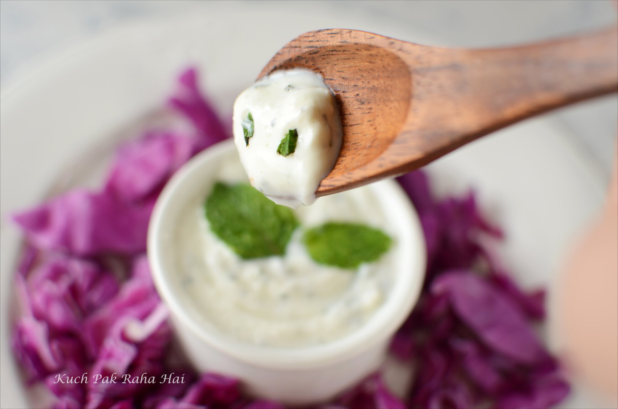 Yoghurt Garlic Mint Dip Recipe Low Calorie dip made with yoghurt or curd