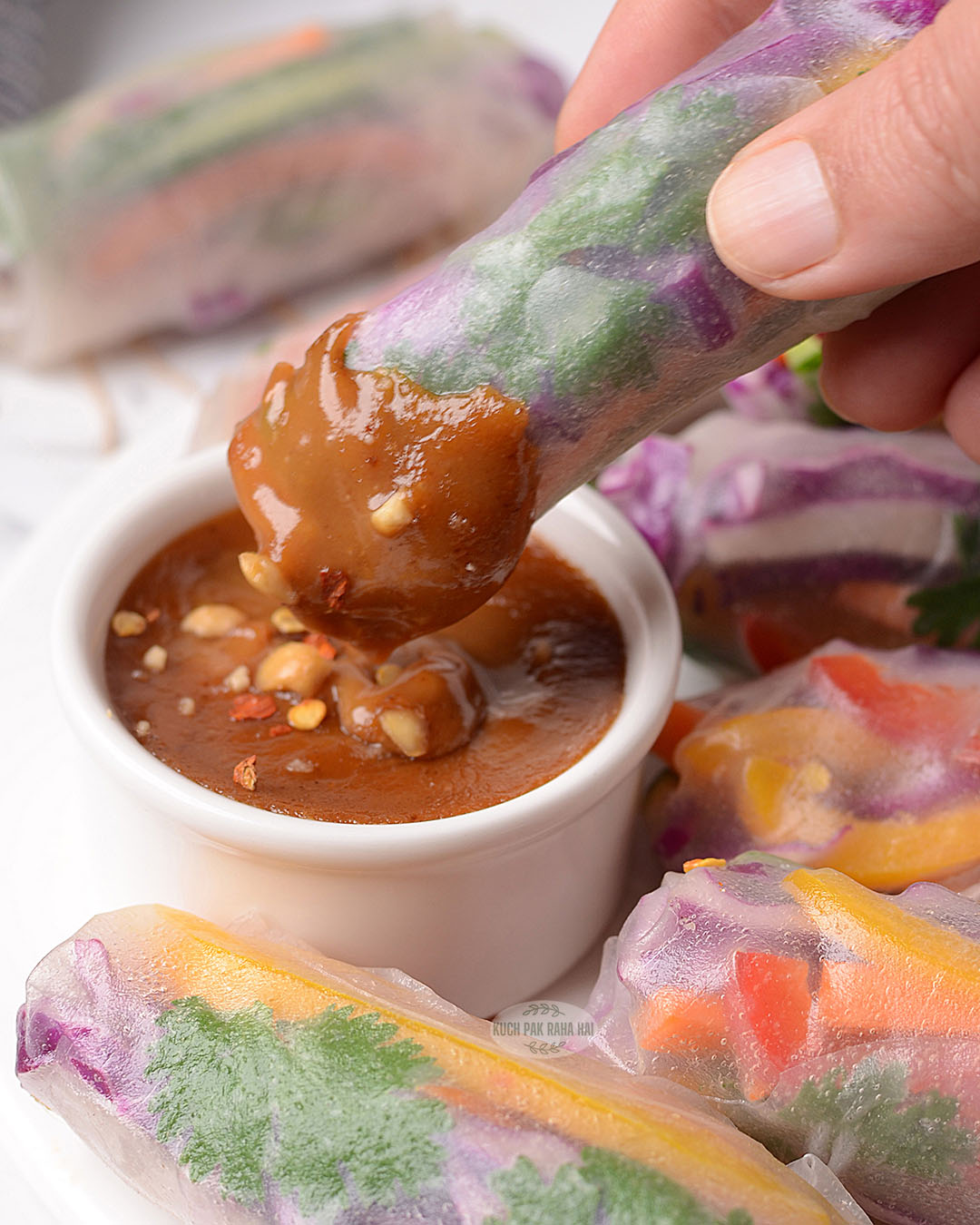 Vegetable rice paper rolls served with peanut dipping sauce.